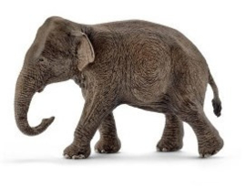 éléphant d'Asie femelle 14753