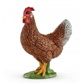 poulet 13826