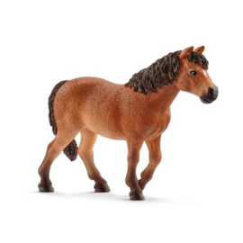 Dartmoor pony 13873 18