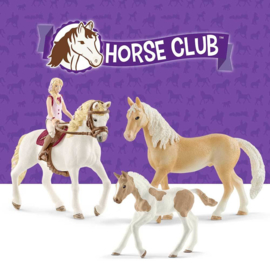 Horse club