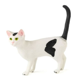 kat wit zwart 66509