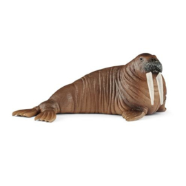 walrus 14803 18