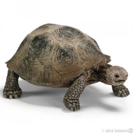 reuze schildpad 14601 -