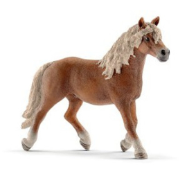 Haflinger hengst 13813 *