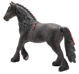 Friese merrie 13749