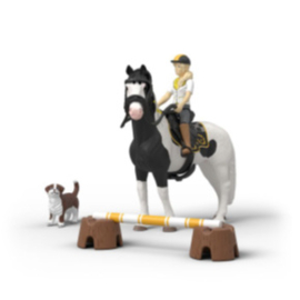Tori's avontuur 42803