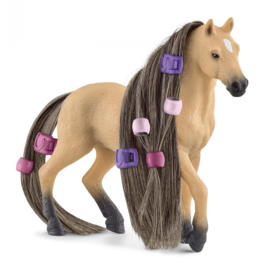 jument andalouse beauty horse  42580