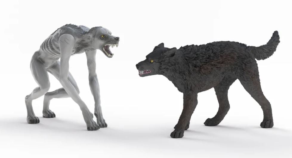 weerwolf vs. animagus 14906