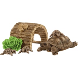 schildpad met huis 42506