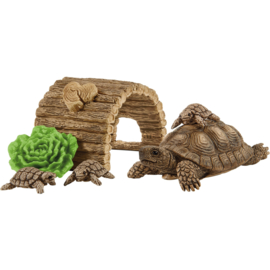 maison pour tortues 42506