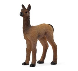 lama veulen 14890