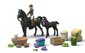 Advent Horse club 2026