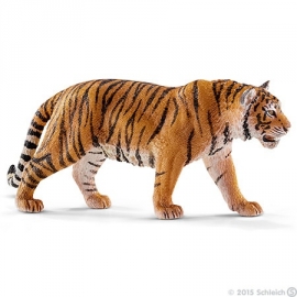 tigre du Bengale 14729 -