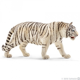 tigre blanc 14731 -