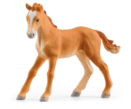 Tennessee walker veulen (set 42567)