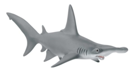requin-marteau 14835