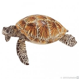 zeeschildpad 14695 -