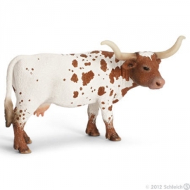 texas longhorn koe 13685 -