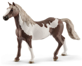 paint horse hongre 13885