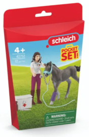 set miss Kramer met veulen 42752
