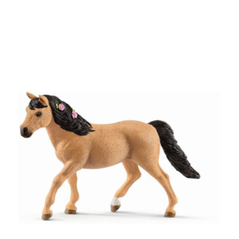 Connemara pony merrie 13863