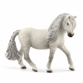 Ijslandse pony merrie 13942