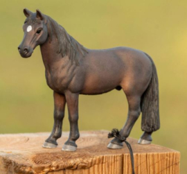 paarden