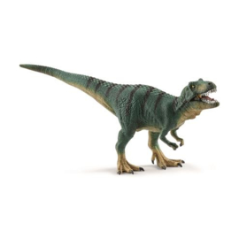 jeune Tyrannosaure Rex 15007 18