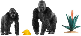 gorilla's etend 42382