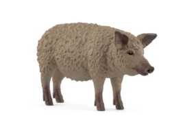 Mangalica 14892