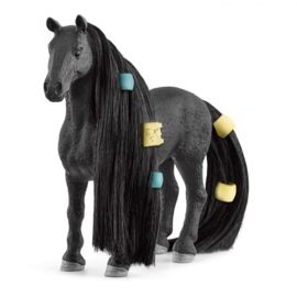 jument Criolo Definitivo beauty horse  42581