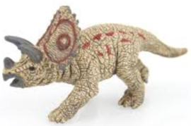 mini triceratops 14534