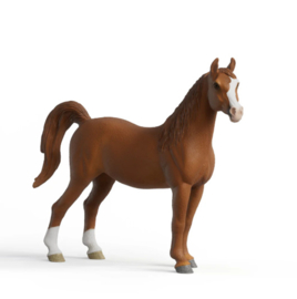 Legacy of horses Amira 72262