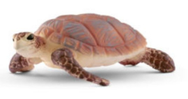 tortue marine à bec court 14876