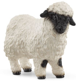 mouton à nez noir du valais 13965