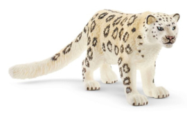 léopard des neiges 14838