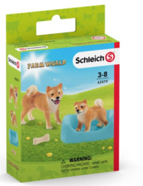 shiba inu 42479