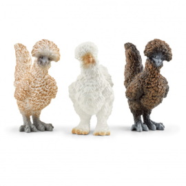 poules amies 42574