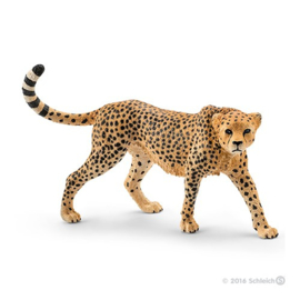 cheetah wijfje 14746