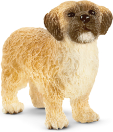 Shih Tzu 13931 LIMITED