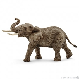 Afrikaanse olifant stier 14762 -