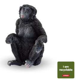 bonobo 14943 CIRCULAR