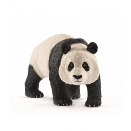 panda géant mâle 14772