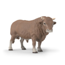 Limousin stier 14931