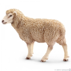 mouton OUT 13743