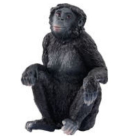 bonobo wijfje 14875