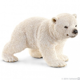 ijsbeer jong 14708 -