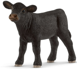 black angus kalf 13880 19