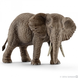 éléphant d'Afrique femelle 14761