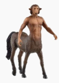 centaur Firenze 13986